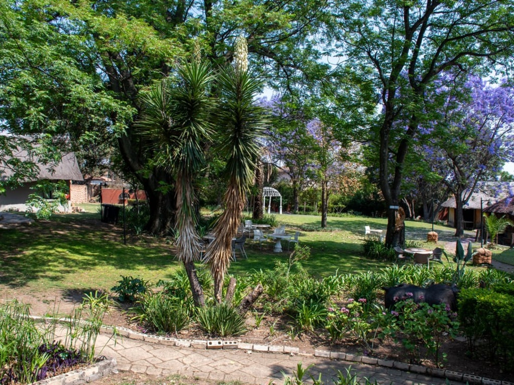 Beverly Hills Lodge - Garden 10