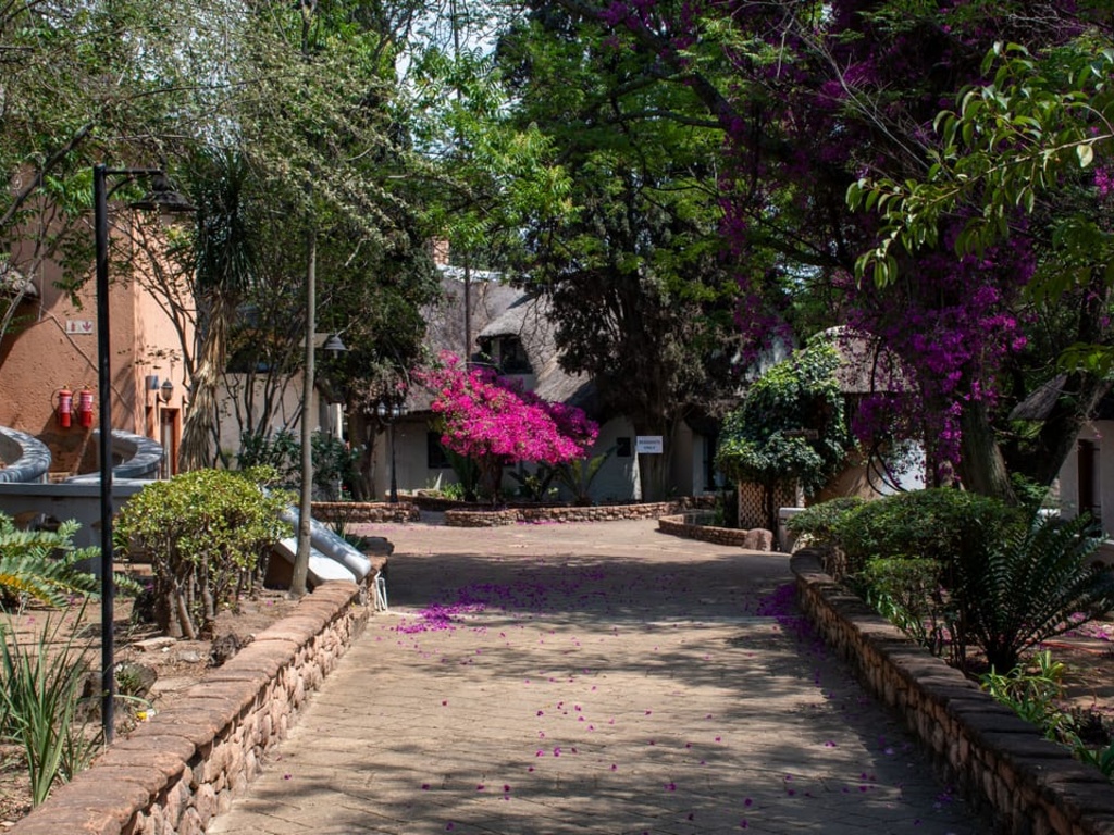 Beverly Hills Lodge - Garden 3