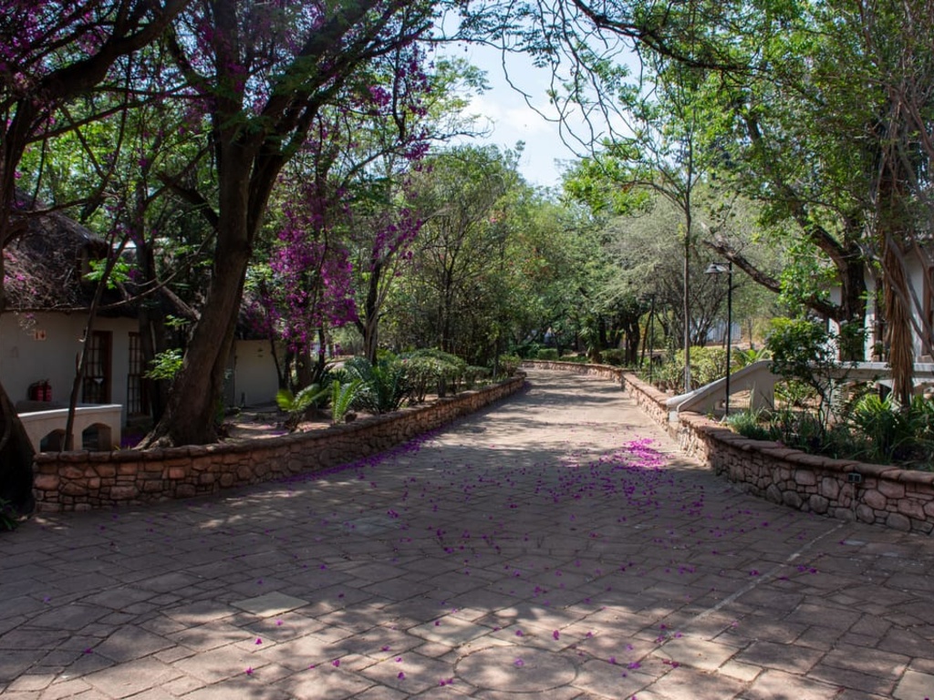 Beverly Hills Lodge - Garden 9